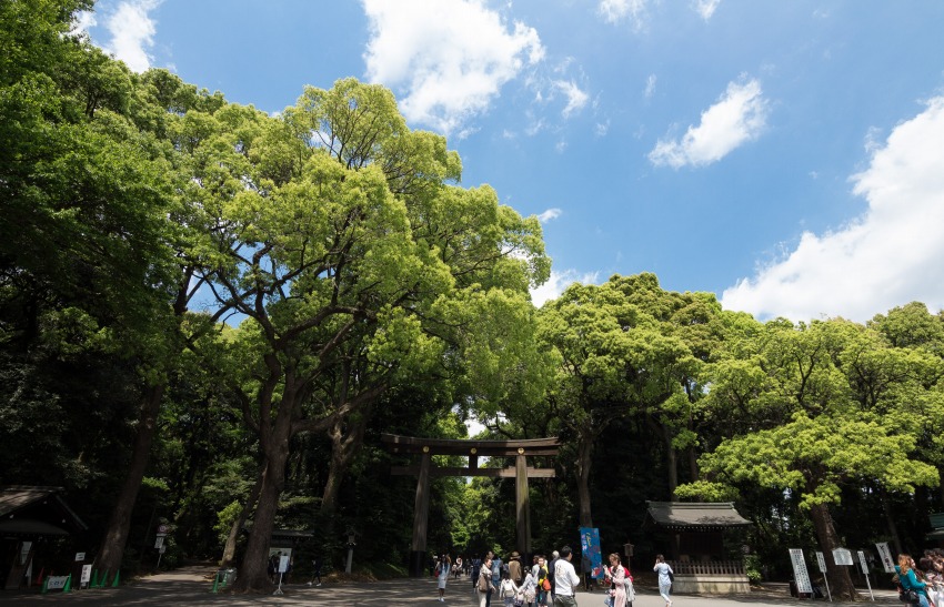 meijijingu